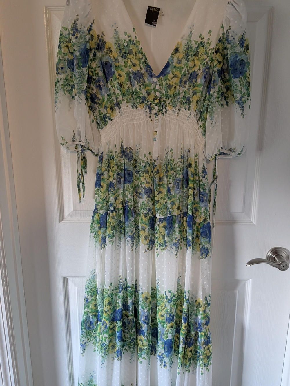 Taylor lvory Blue Green Floral Swiss Dot Maxi Dress Size 6